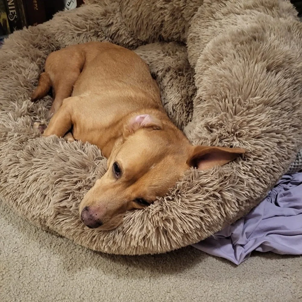 Lightly taupe Fur Round Container calming bed Deluxe Super Plush Pet Bed